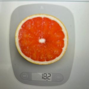 Food scale